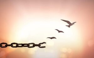 395468158_1537804460365081_2996424747463342796_n