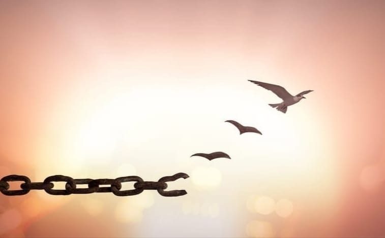 395468158_1537804460365081_2996424747463342796_n