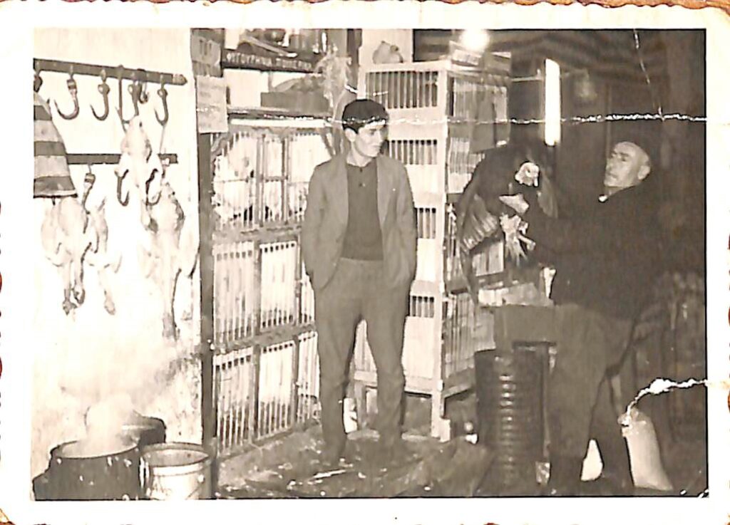 Κωνσταντίνος Βλάχος (κοτόπουλα)