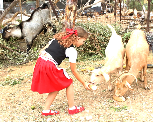ΚΥΝΘΙΑ ΓΕΩΡΓΙΑΔΟΥ ΣΤΗ ΦΑΡΜΑ (1)