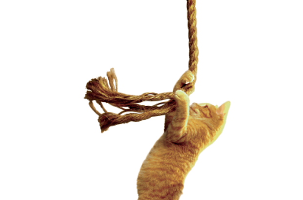 stories_2351_4973 (1) (1)