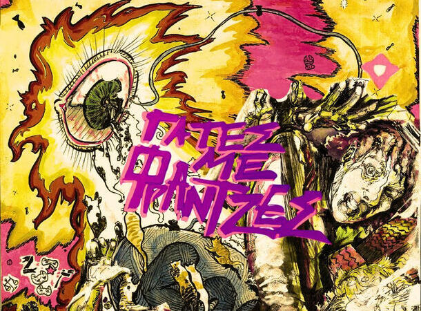 Φωτο Γάτες με Φράτζες (1)